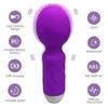 Mini AV Vibrator Magic Wand for Women Clitoris Stimulator USB Rechargeable Portable Silicone Massager Female Sex Toys