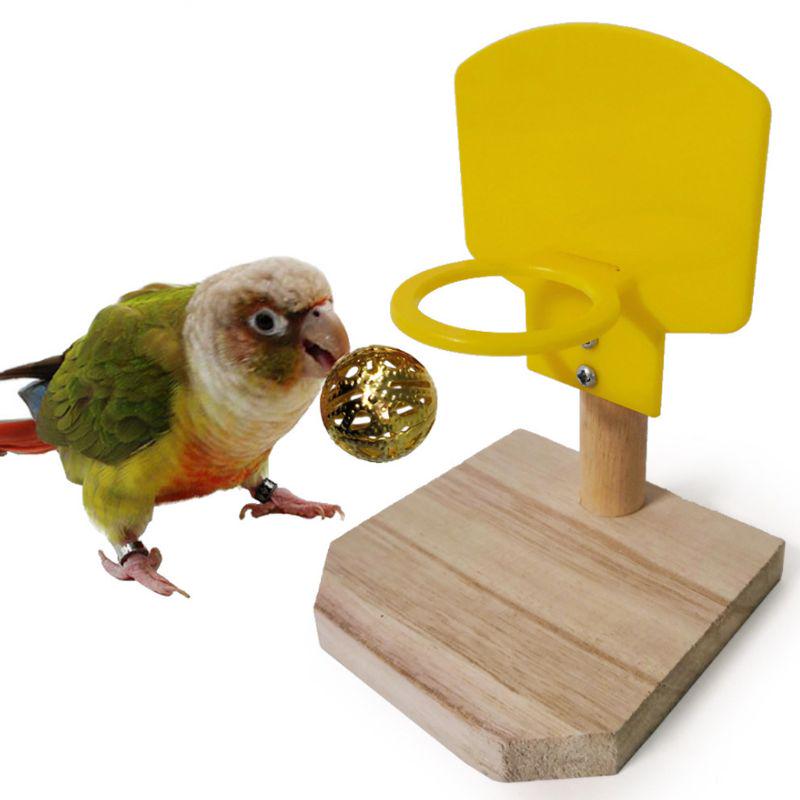 parrot puzzle toys