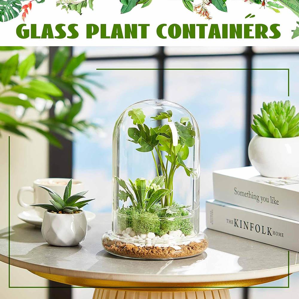 Cupola di Vetro con Foro per l'Aria Campana di Vetro a Cloche con Base Espositore da Tavolo per la Casa Contenitore Terrario Trasparente per Piante, Terrario
