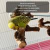 Bird Perch Stand Natural Wooden Stand Branch Chewing Stick Training Climbing Toy Bird Cage