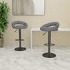 VidaXL Set of 2 Bar Stools, Pub Chair, Bistro Seat, Furniture for Dining Room Kitchen Living Room Home Interior, 333269