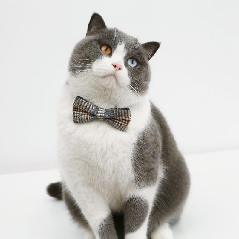 2PCS Adjustable Cat Collar Christmas Party Dogs BowTie Collar Pet Breakaway Necktie Collar Pet Festival Party Supplies