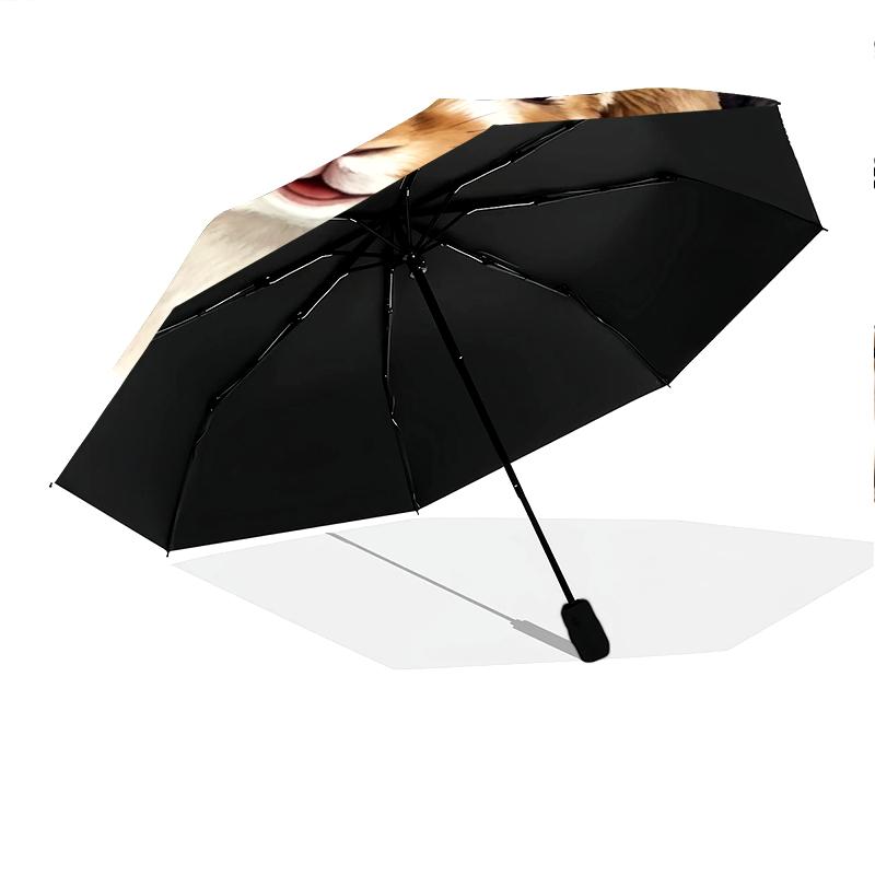 1 Stück Automatischer Faltregenschirm - Süßes Katzen-Hasen-Muster, Tragbares & Faltbares Design mit 8 Speichen, Weihnachts-Geburtstagsgeschenke