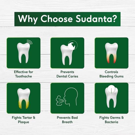 Sudanta Natuurlijke Tandpasta (100 gram), Sudanta Tandpasta, Sri Sri Tattva