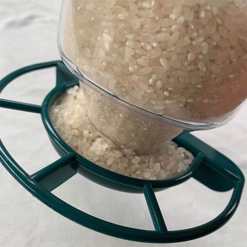 Hanging Bird Feeder Transparent Plastic Automatic Feeder With Lid Creative Suction Cup Outdoor Bird Feeding Device For Bird