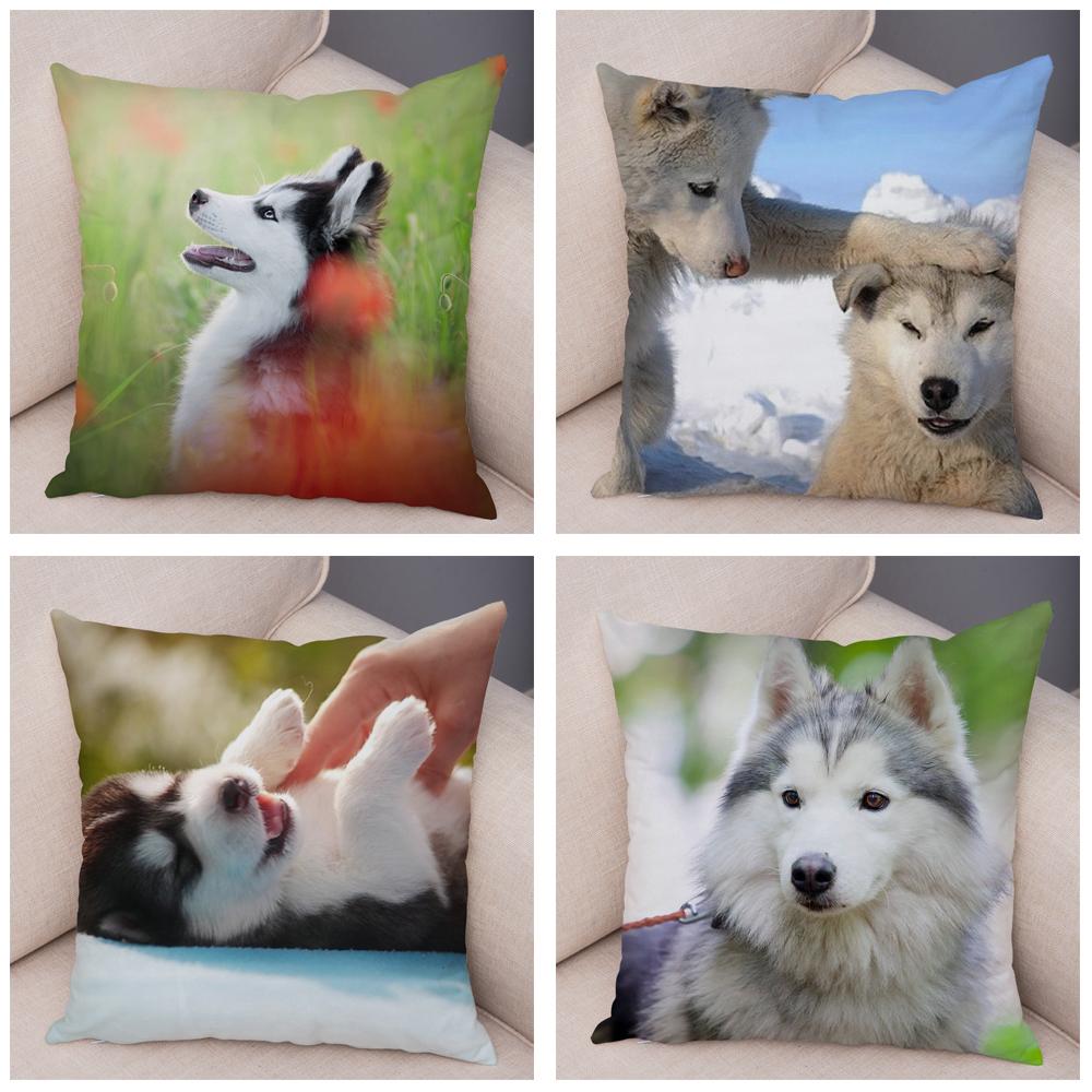 Decor Cute Siberian Husky Pillowcase Pet Dog Printed Super Soft Short Plush Pillow Case 45*45cm Animal Cushion Cover for Sofa