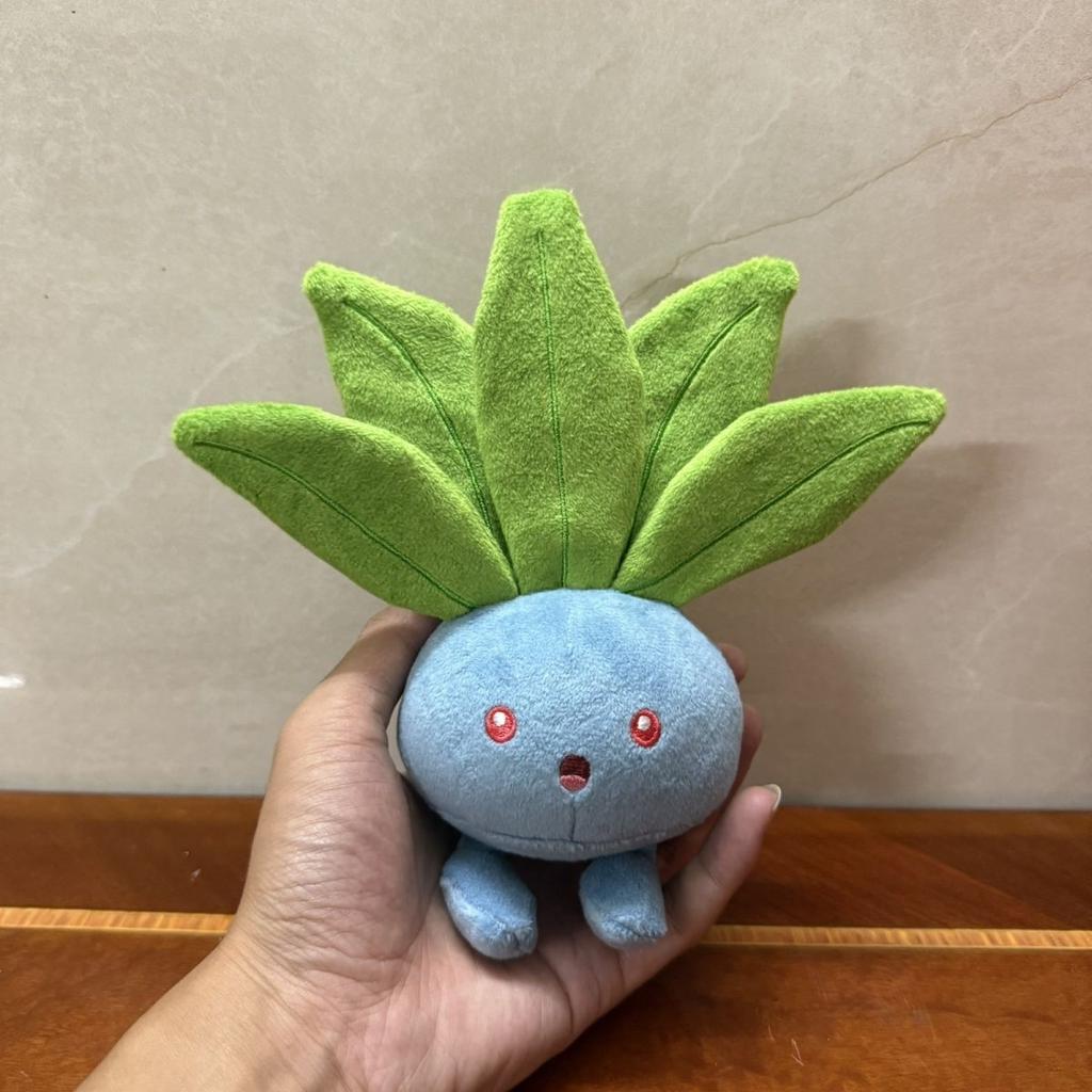 13Cm Walking Grass Sounding Plush Toy Doll Squeezing Toy Pet Stuffed Plush Starfish Body Printed Keychain Send Friends Gift Xams