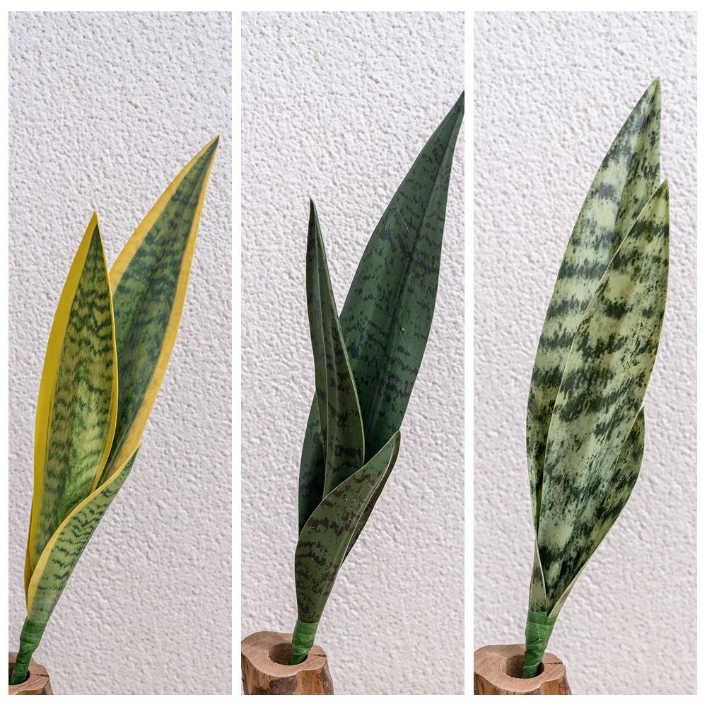 Artificial Snake Plant Low Maintenance Plant PVC Decoration Long-Lasting Quality