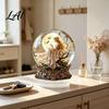 Fairy Tale Home Accessories Moon Star/Fairy Crystal Ball Ornament Decorative Acrylic Sphere for Bedroom Living Romantic Room Decor Desk Decor