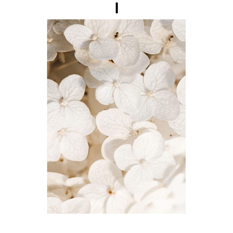 Wall Art Print Beige Dandelion White Flower Palm Leaf Grass Quotes Canvas Painting Nordic Poster Decor Pictures For Living Room