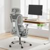 Office Chair, Ergonomic, 6D Armrests, Adjustable Headrest and Seat Depth, Grey Mesh