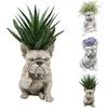 Funny French Bulldog Planter Pot, Resin Dog Statue Succulent Planter, Middle Finger Gesture Decorative Sculpture for Home Garden Office Desk Decor,