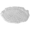 Nordic Retro Frosted Mesh Glass Serving Tray