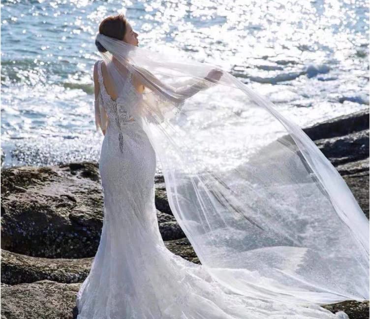 LONTG Wedding Bridal 5m Hair Wedding Bridal Photo Location Net Yarn Bridal Thin Mesh White Veil, Veil, Long, Accessory, Veil, Dress, Shoot, Beach,