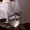 Collins Water Glass Cup,Long Drink Juice Glass