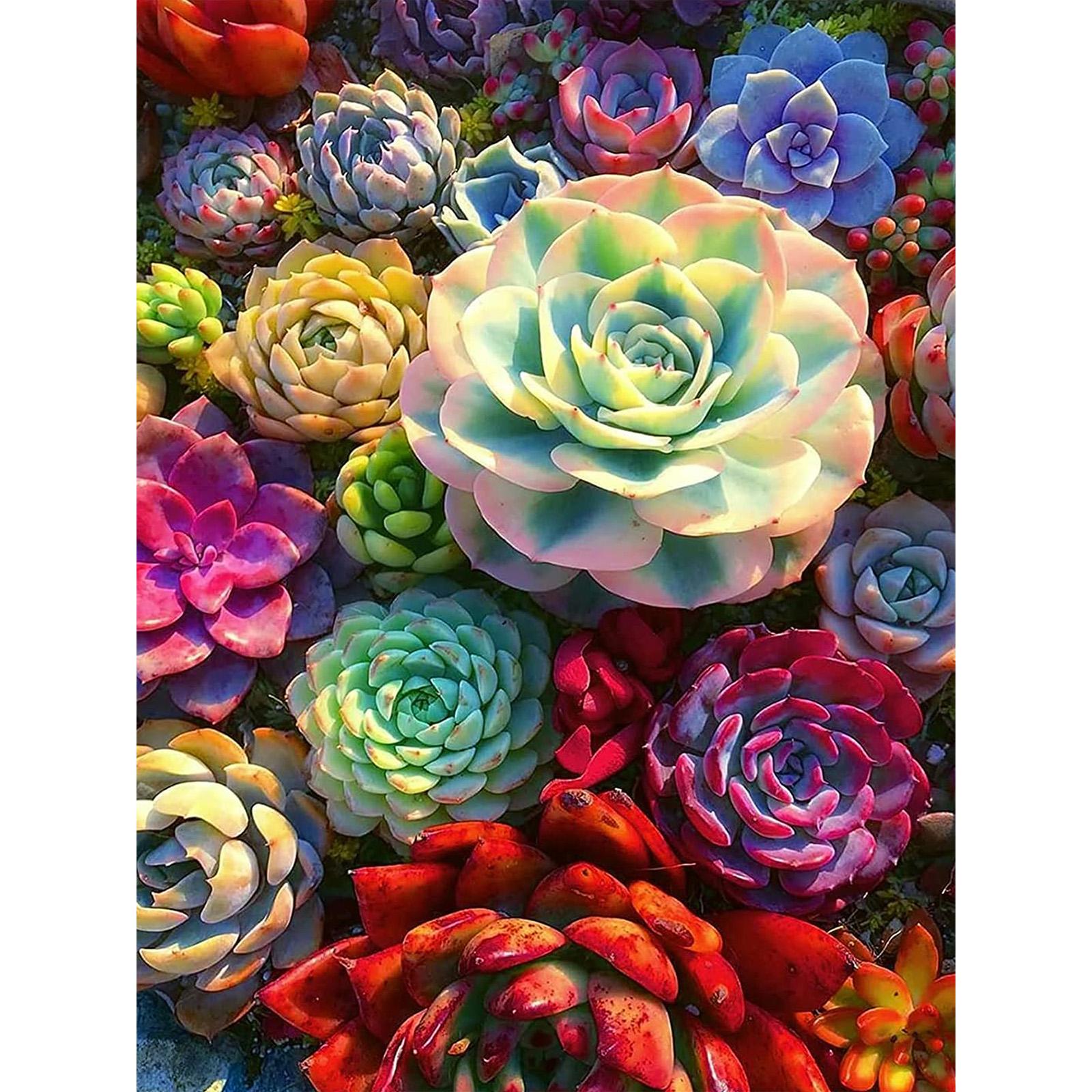 

HuaCan алмазная живопись цветок полный круглый AB дрель картины цветы мозаика картина вышивка стразами искусство ремесло домашний декор стены Round Drill 20x30cm