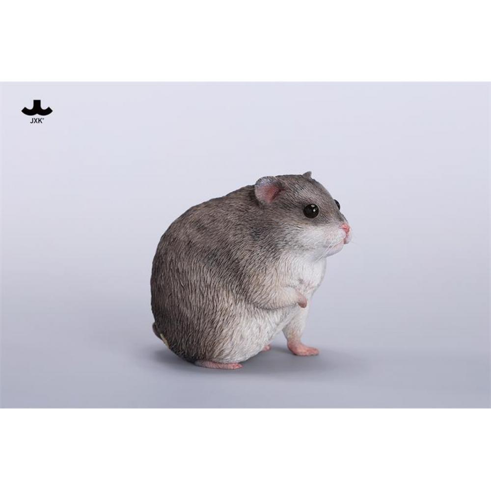 

Null 1 1 Jxk Studio HAmster A