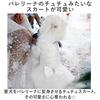 Dog Dress Pet Clothing Apparel Wedding Dogs One-piece Party Wear Elegant Ribbon Lace Princess Luxurious Gorgeous Goods Cute Fashionable.