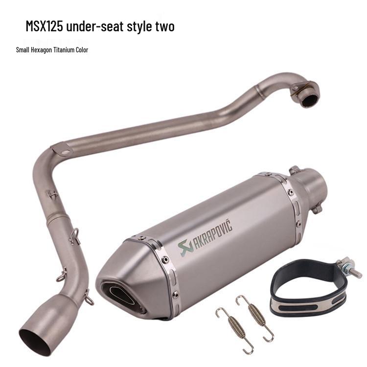 Silver Steel Dual Tail Exhaust for Monkey 125 MSX125 Horizontal Cylinder