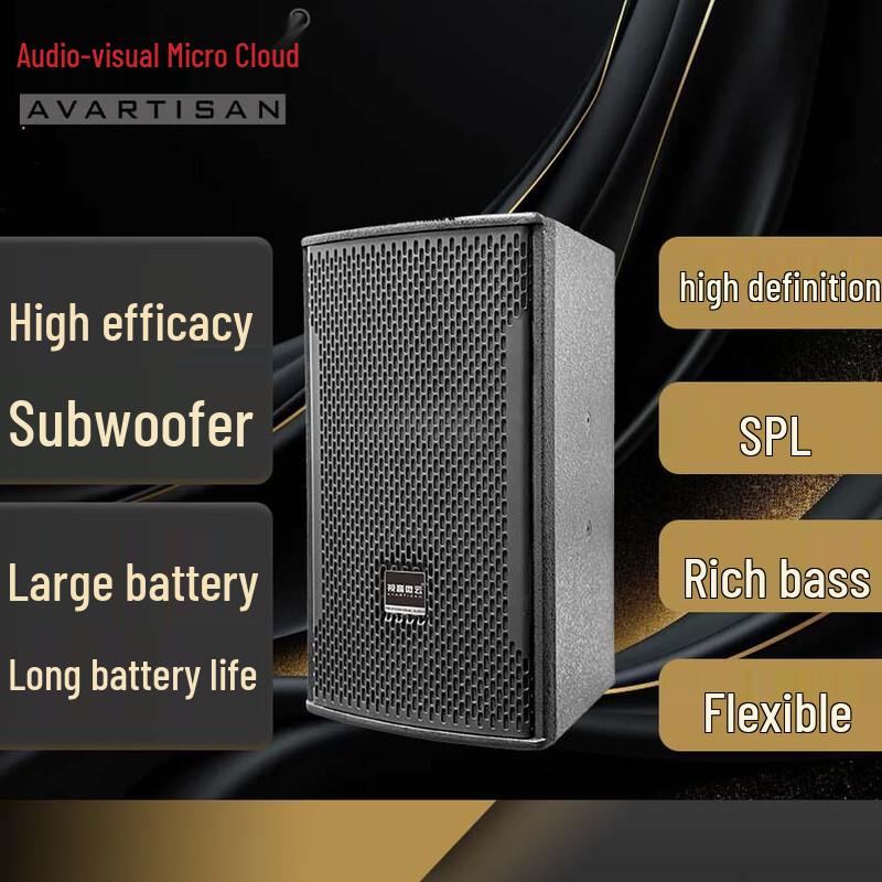 Shiyin Weiyun 15-inch High-End Conference Speaker