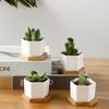 Six-sided Ceramic Pot Succulent Flowerpot Set With Bamboo Support For Desktop Office Decoration (excluding Plants)