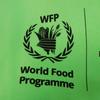 Used 11221 WFP logo print pullover hoodie, size 600583 TJVK4 4162 7846, XS, World Food Programme, Fleur Green, Men's
