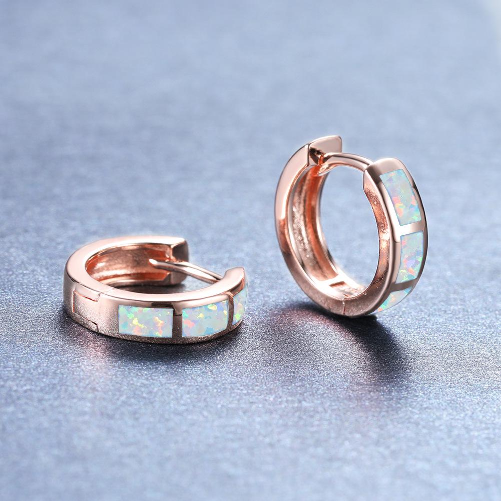 New Japanese and Korean Light Luxury Geometric Earrings with Round Temperament Versatile Small Accessories