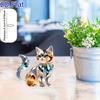 2D Flat Crystal Cat Acrylic Desktop Ornament -perfect Gift for Valentine's Day, New Year's, and Easter. Ideal for Home, Office, and Bedroom Decor