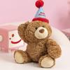 Birthday Teddy Bear Plush Toy Stuffed Animal Birthday Hat Cute Home Decor Children Boys Girls Birthday Gifts