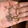 Long Animal Snake Pendant Flat Snake Chain Necklaces for Women Choker Necklace Stainless Steel Jewelry Party Birthday Gift New