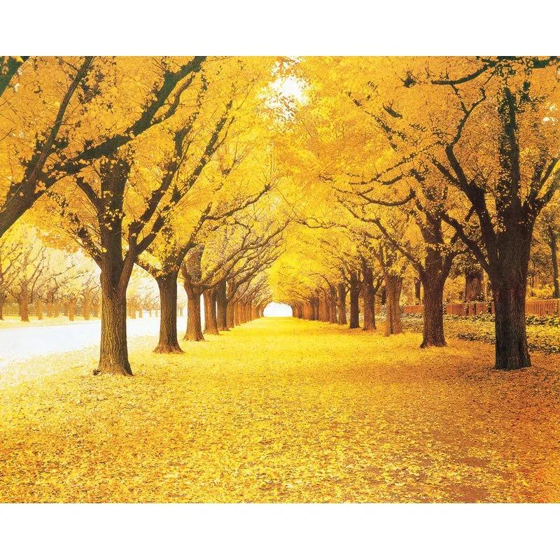 Landscape Natural Wallpaper Autumn Scenery Yellow Forests 3d Wall Mural Load Leaves Wall Paper For Living Room