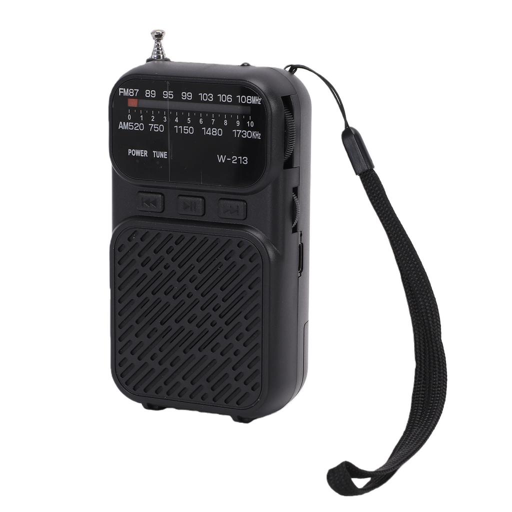 Portable Radio AM FM with   5.3 Battery Operated   Radio with Small Memory Card Flashlight