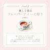 MilleFee Antoinette Melting Rouge Apple Lipstick Highly Suitable for Warm and Cool Skin Perfect As a Sculpted Melting Scented MilleFee (05 Glaze)