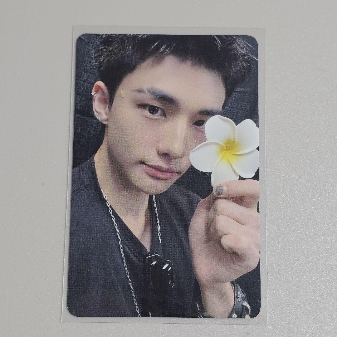 

[USED] Stray Kids Hyunjin everline bonus trading card