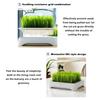 Self-planted Tray Hydroponic Tray Anti-Pull Out Soil-Free Nursery Box  Pet Cat Use