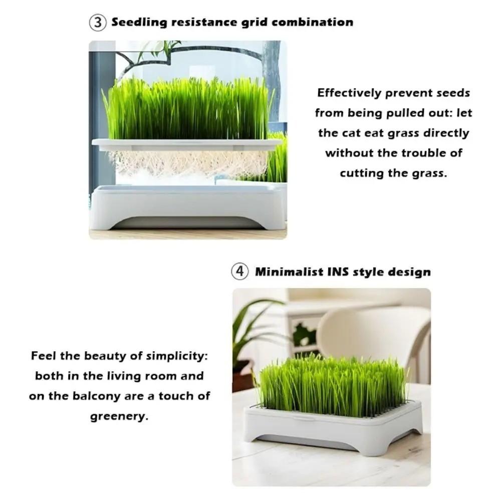 Self-planted Tray Hydroponic Tray Anti-Pull Out Soil-Free Nursery Box Pet Cat Use
