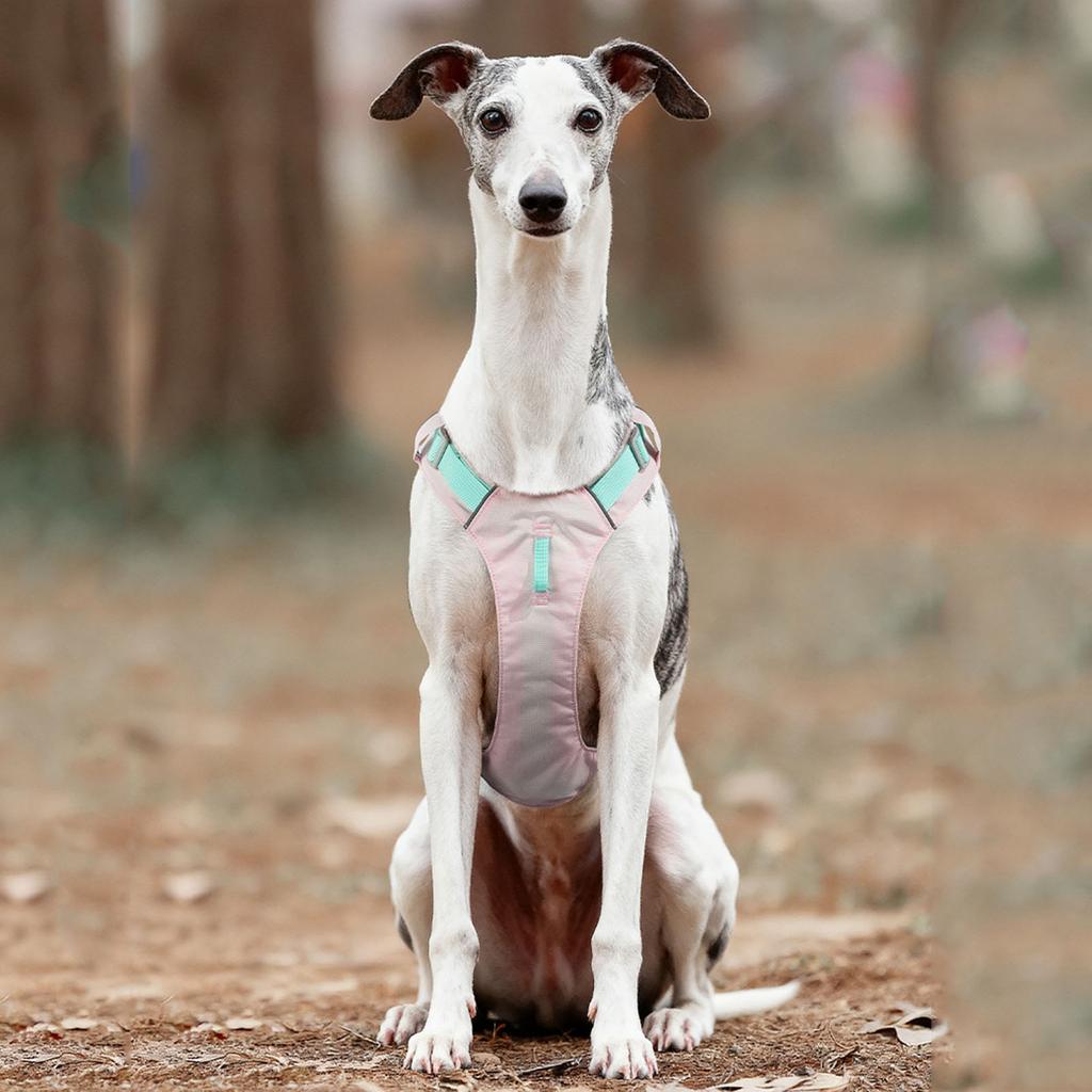 Lightweight Dog Leash Reflective Explosion-Proof Quick-Dry Puppy Outdoor Vest Pet Supplies