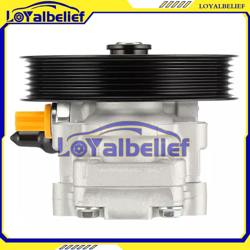 High quality Power Steering Pump For Holden Commodore VZ VE V6 V8 L98 2005-13 92174214 92260526 92267876