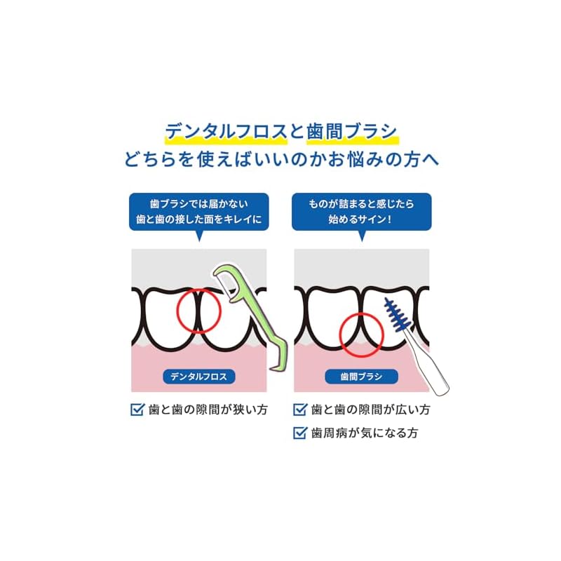 [Bulk Purchase] Kobayashi Pharmaceutical Dental Floss Picks - Smooth-In Type [Value Pack of 60] x 2 Ideal for First-Time Users - Easy to Use Even in
