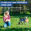 XS/S/M Adjustable Dog Wheelchairs for Back Legs Dog Wheelchair Cart for Hip Support Mobility Aids for Small Pets Hind Limbs