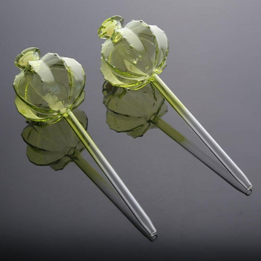 Cactus Cactus Self Watering Planter Glass Cute Automatic Plant Watering Bulbs Automatic Plant Water Feeder Glass Bulbs