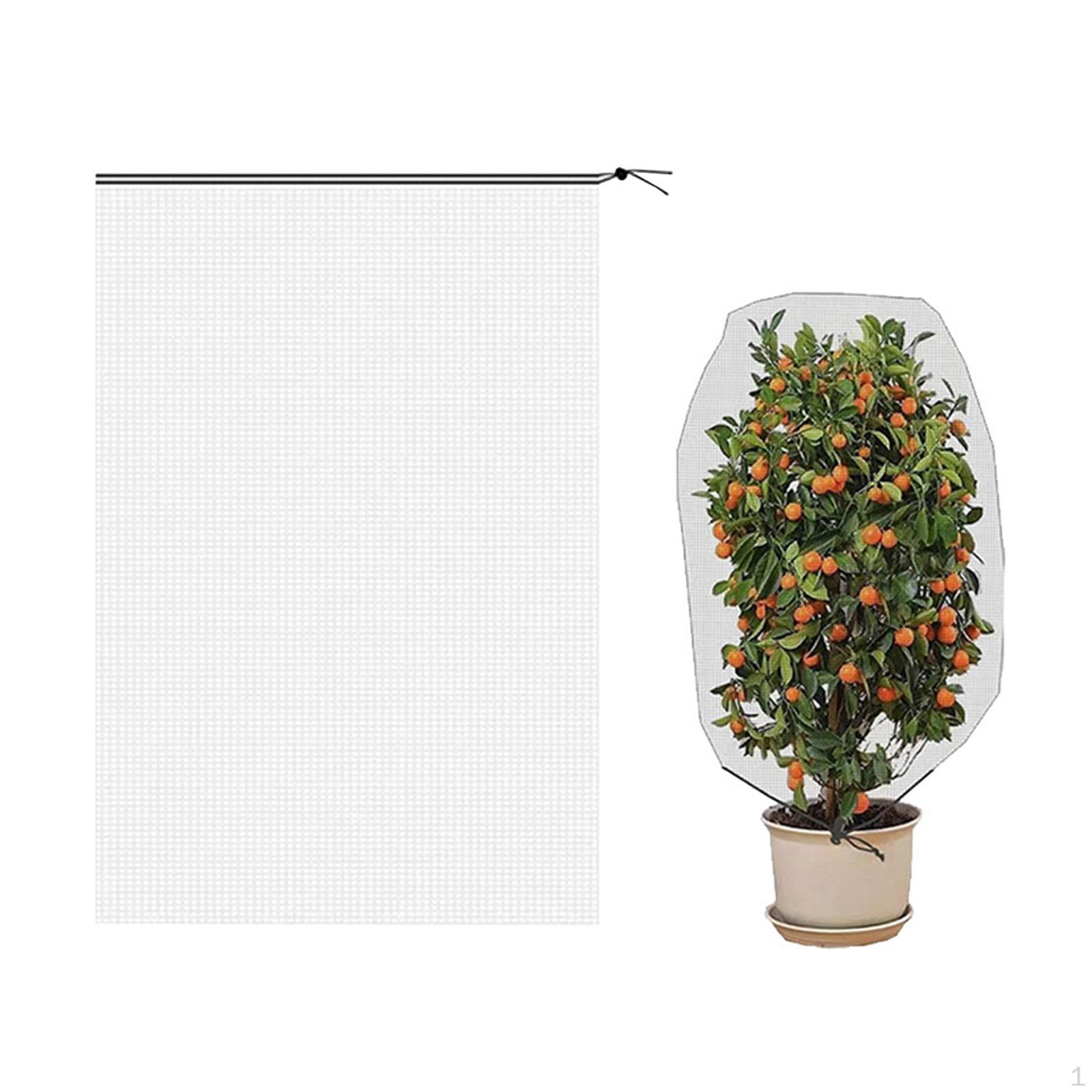 

Чехол для защиты фруктов, пылезащитный, садовая сетка, фрукты