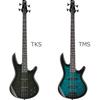 Gio Ibanez GSR280QA Bass Beginner 12 Piece Set [with Rechargeable Mini Amplifier] TMS Electric Ba...