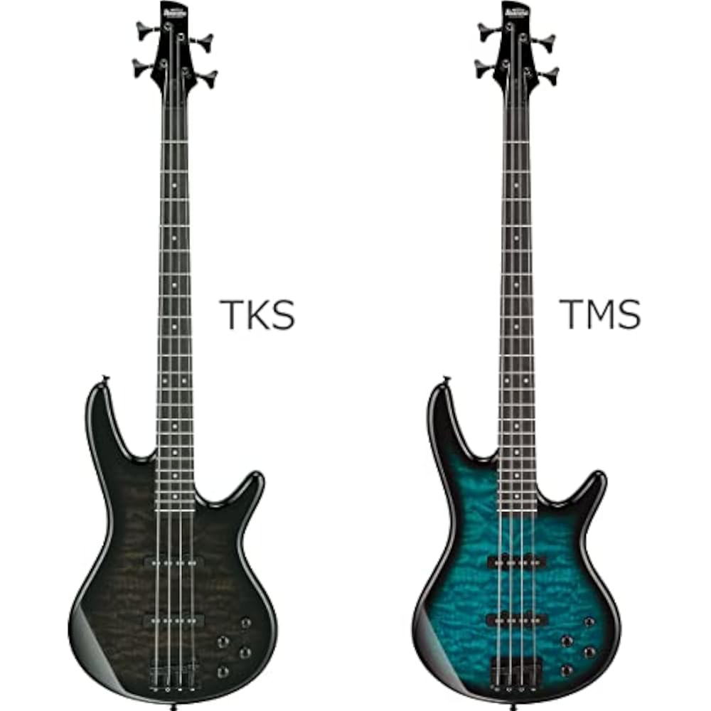 Gio Ibanez GSR280QA Bass Beginner 12 Piece Set [with Rechargeable Mini Amplifier] TMS Electric Ba...