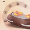 AUX Heated Neck and Shoulder Kneading Massage Pillow CN plug (adapter included)