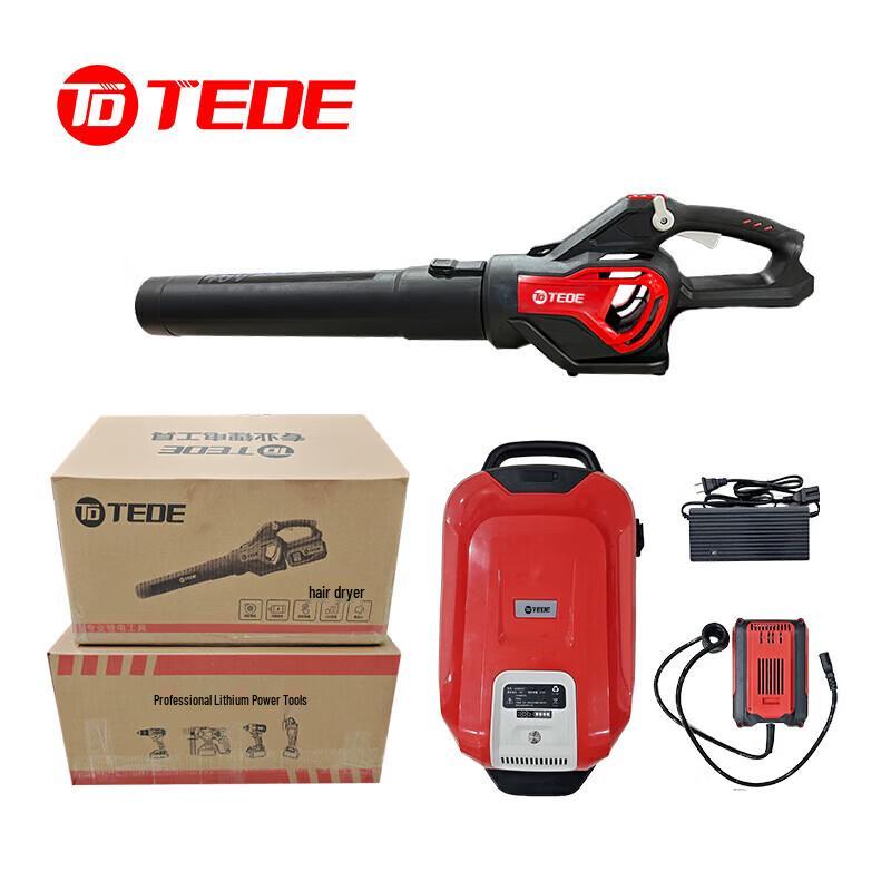 

TEDE YD-5890 20V Backpack Cordless Blower CN plug (adapter included)