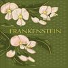 Frankenstein Special Edition by Mary Shelley Hardback Book 9781454952893