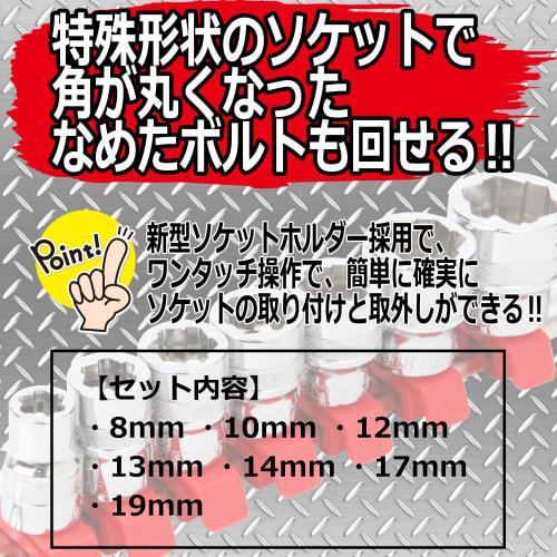 SK11 (SK11) Removal Socket Set, 9.5mm Drive, SHS307RE