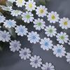 652F Flower Lace Ribbon 1 Yard 25mm Wide Embroidered Lace Trim Sewing Ribbon for Wedding Dress Clothing Embellishment