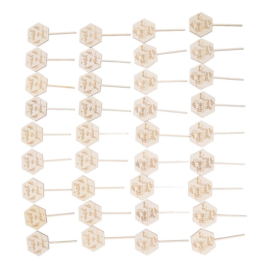 36 st Se mig växa Suckulentetiketter Säkra Miljövänliga Trä Sexkantiga Suckulentetiketter för Blomkruka